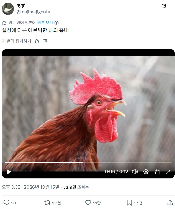 절정에 이른 에로틱한 닭 흉내 냈다가 인플루언서가 된 일본인