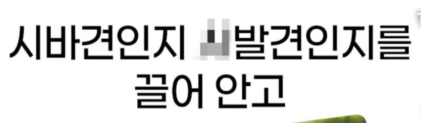 처제의 시바를 뒤지게 팼습니다 (8)