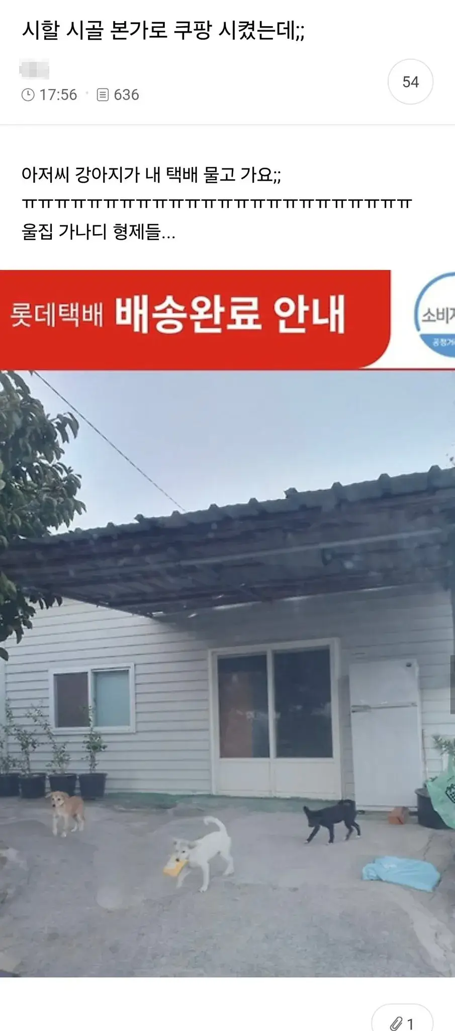 시골 본가로 쿠팡시켰는데