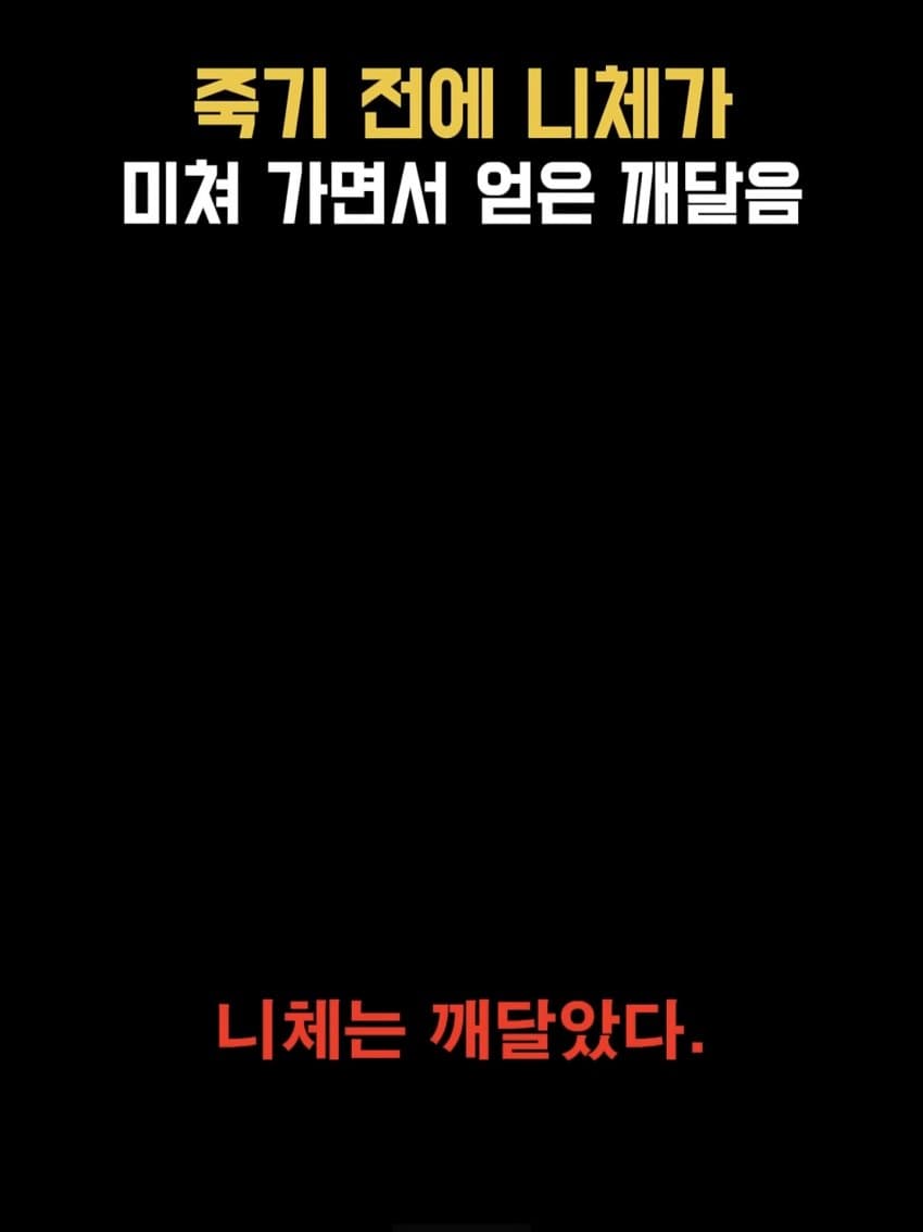 ㅂㅅㅂㅅ 니체가 죽기 직전에 미친 이유 (9)
