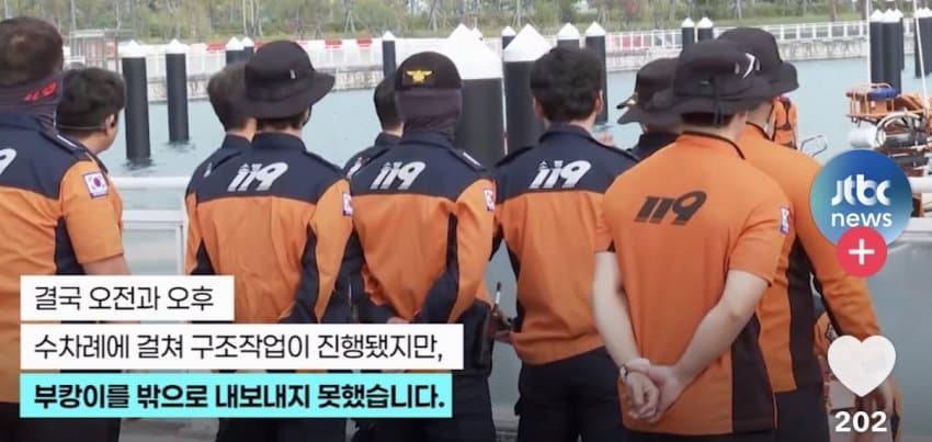 부산 상어.... 부캉이 구조 실패 ㄷㄷ...News (7)