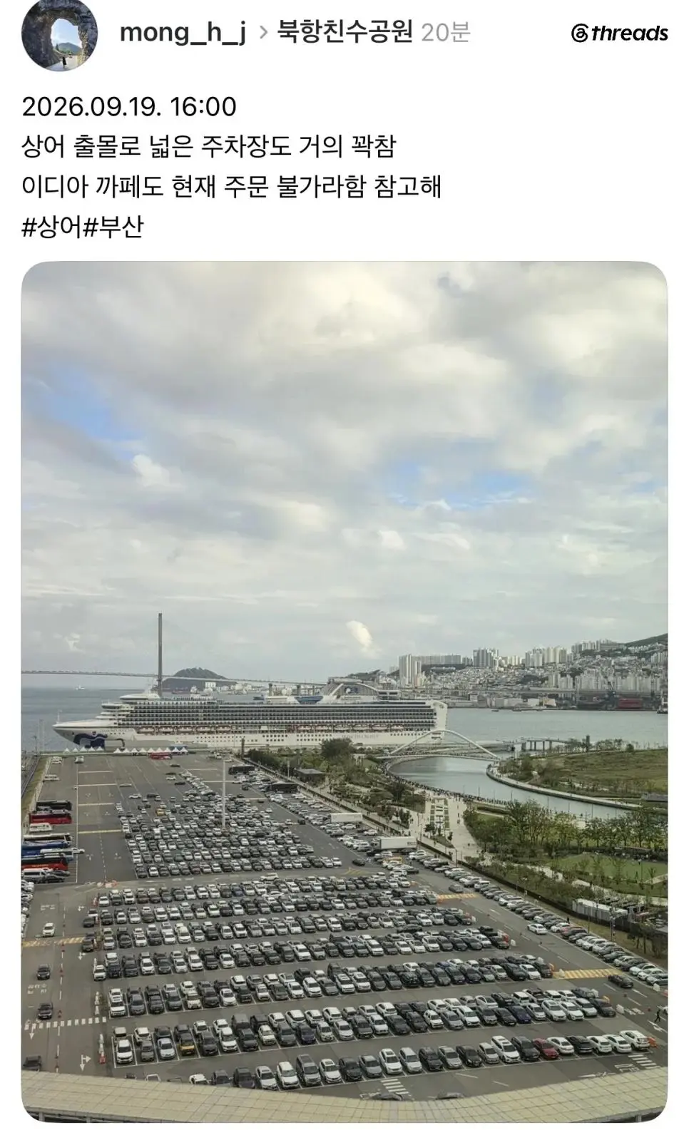 부산 상어 특수 (2)