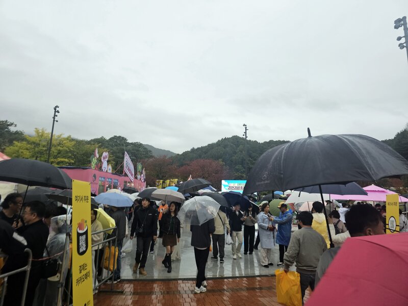 김밥축제 실시간