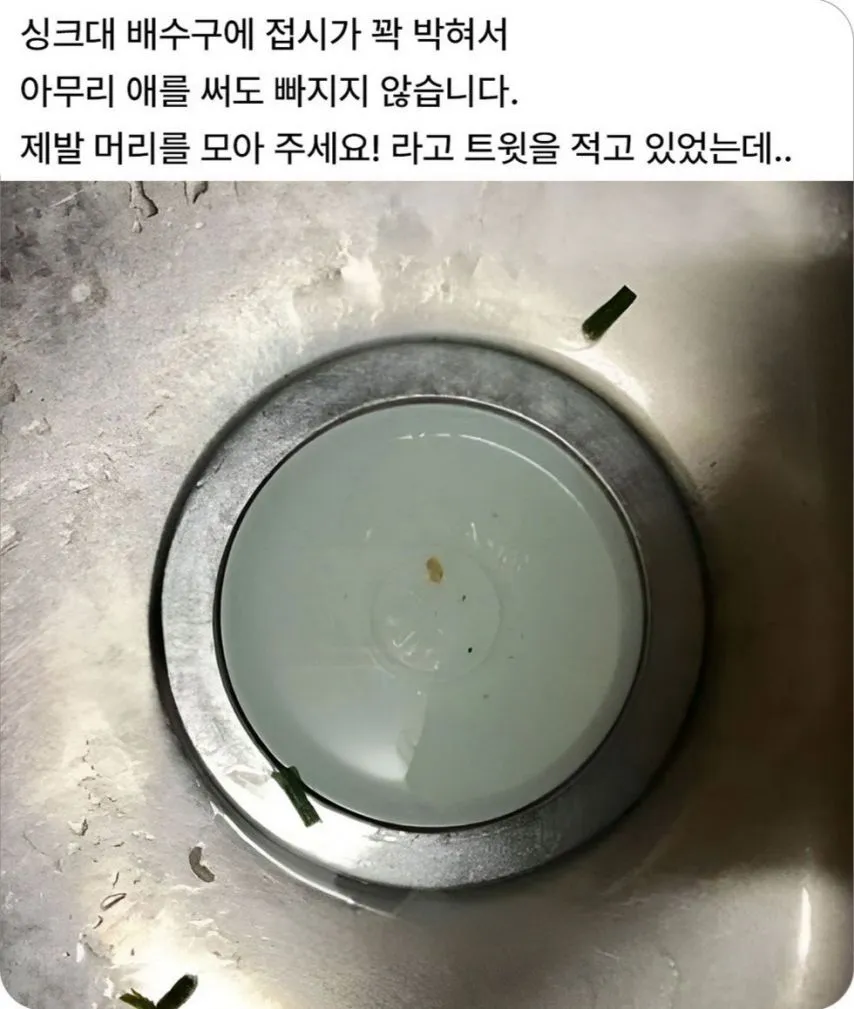싱크대 배수구에 낀 접시 빼는 방법.