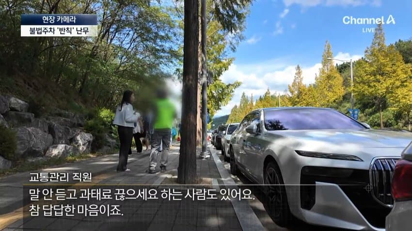 채널a) 차 머리부터 '쑥'..야구장 앞 얌체들 (46)