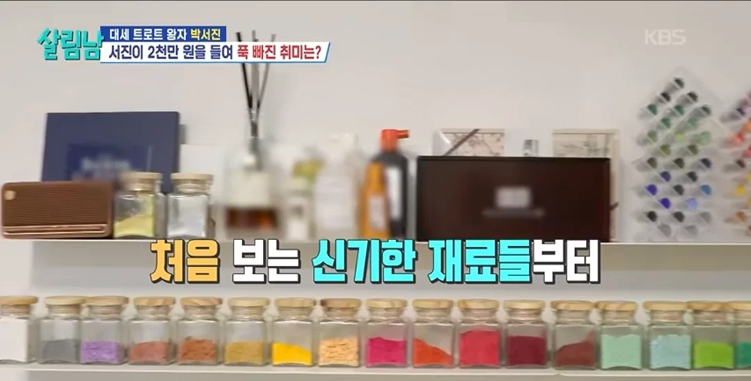 취미생활에 2천만원 투자한다는 연옌 근황 (11)