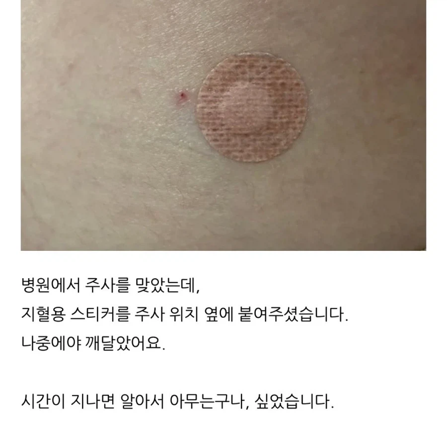 일상에서 깨달음을 얻는 타입