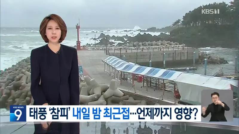‘참피’ 내일(25일) 최근접 ‘태풍 예비특보’…31호 태풍도 발생