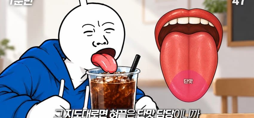 학교에서 배운 '혀 맛' 지도가 잘못됐다..? (9)