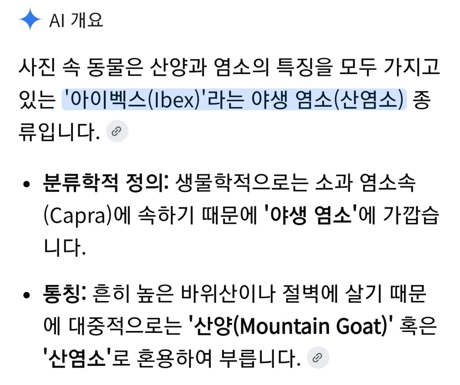 염소가 goat인 이유