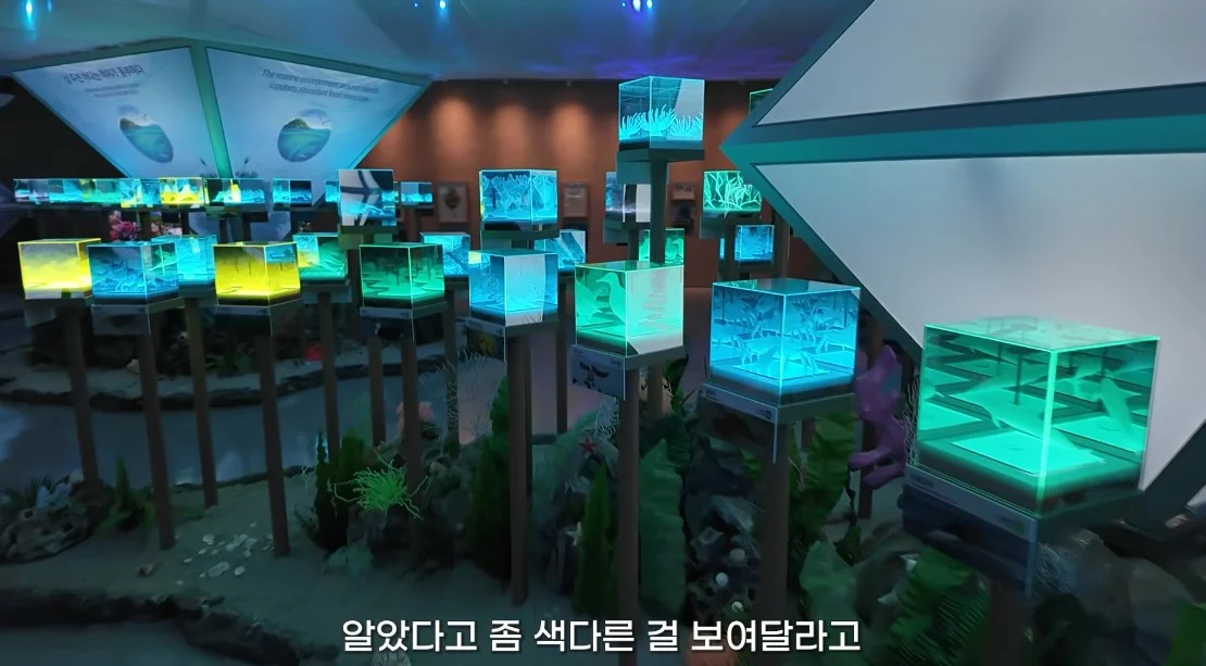 안 싱글벙글 여수국제 섬박람회 후기 (22)