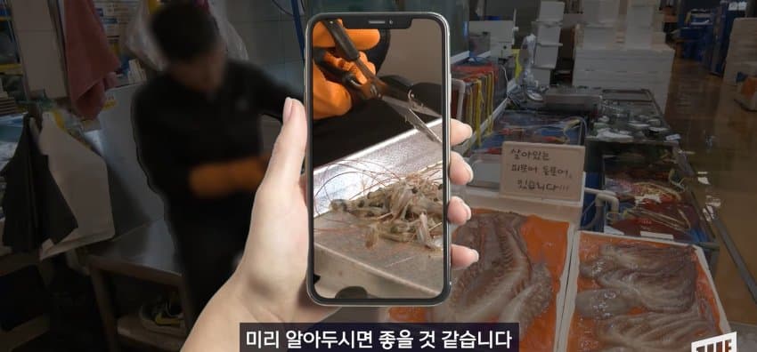 한강 필승 조합이 바꺘다, 회크닉 인기. (29)