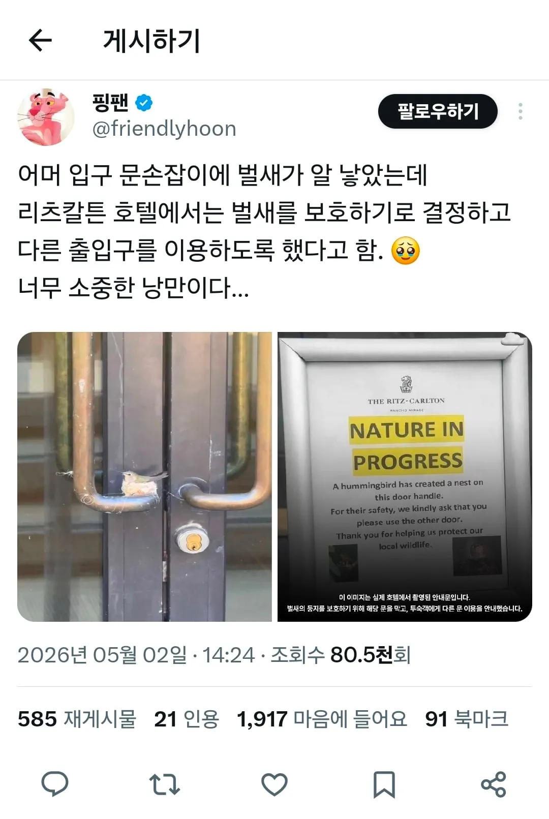 호텔 손잡이에 둥지를 튼 벌새