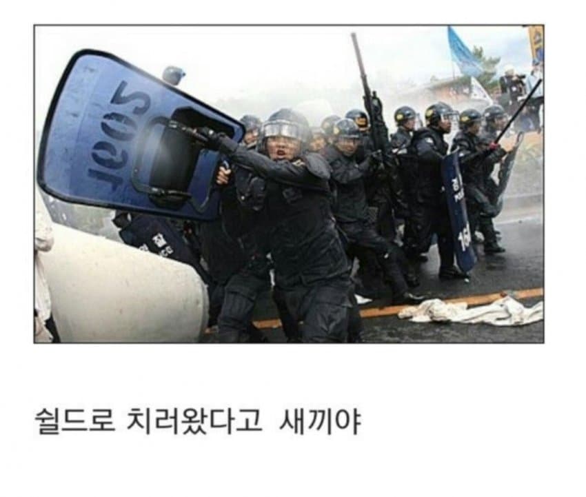 싱글벙글 구한말 동아시아를 불태웠던 인류관 사건 (10)