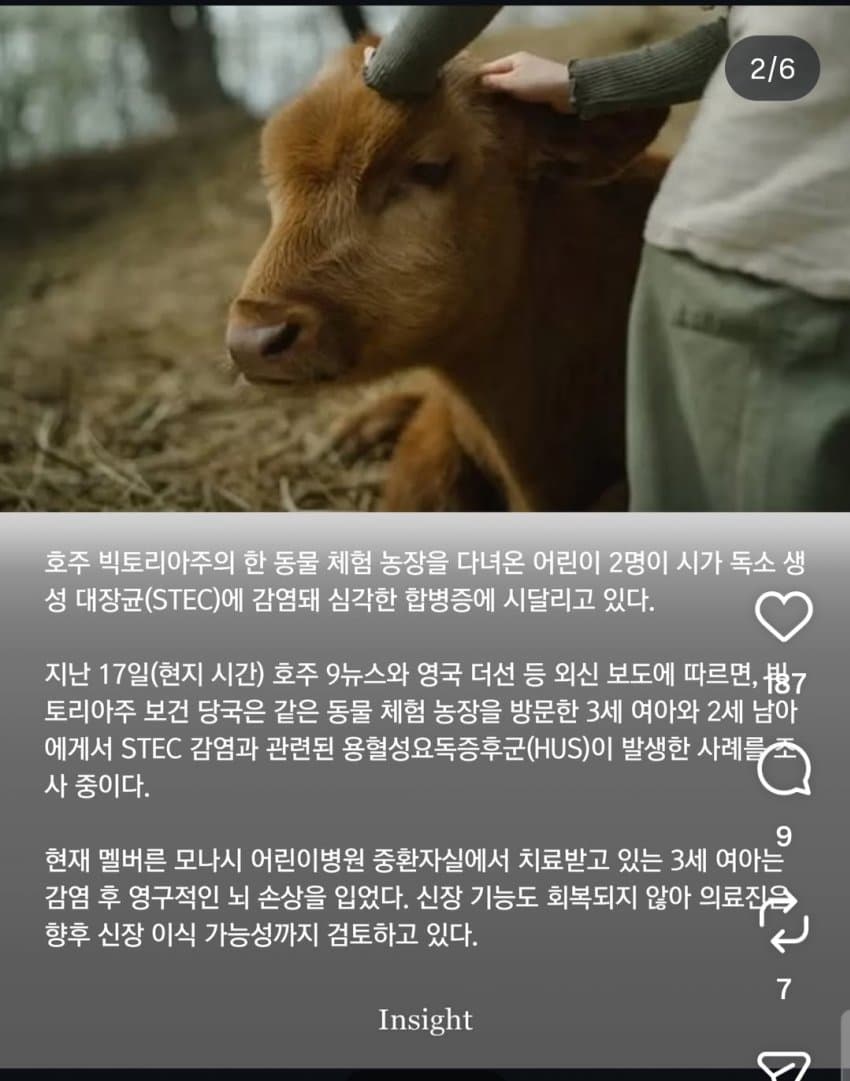 동물 만졌을 뿐인데... 어린이 2명 뇌 손상, 신부전 '위중' (2)