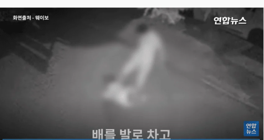 혐)중국의 무관심한 문화 (7)
