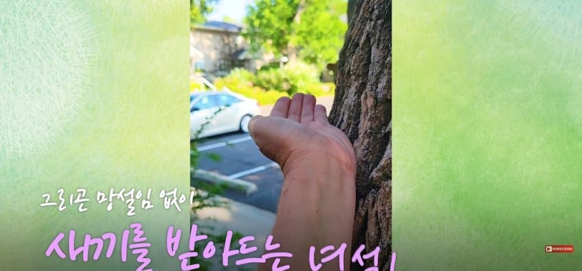 어미 다람쥐에게 갈곳 잃은 새끼 보여줬더니.. (27)
