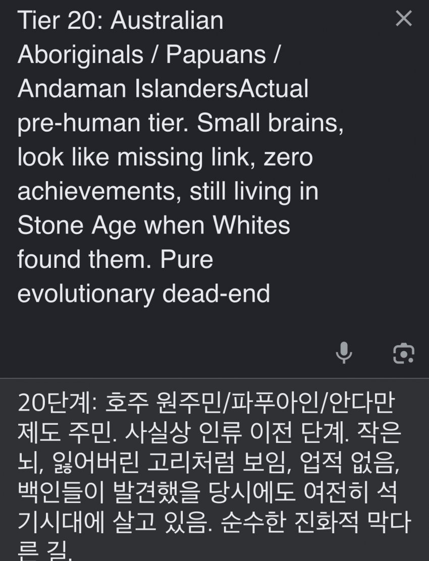 서양 커뮤에서 만든 인종 순위 20단계 (5)