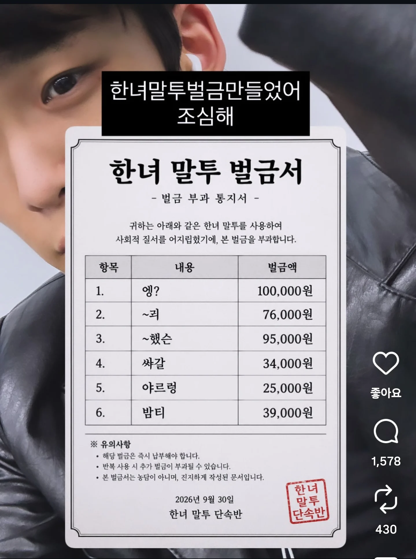 개짜치는 한녀말투 벌금표