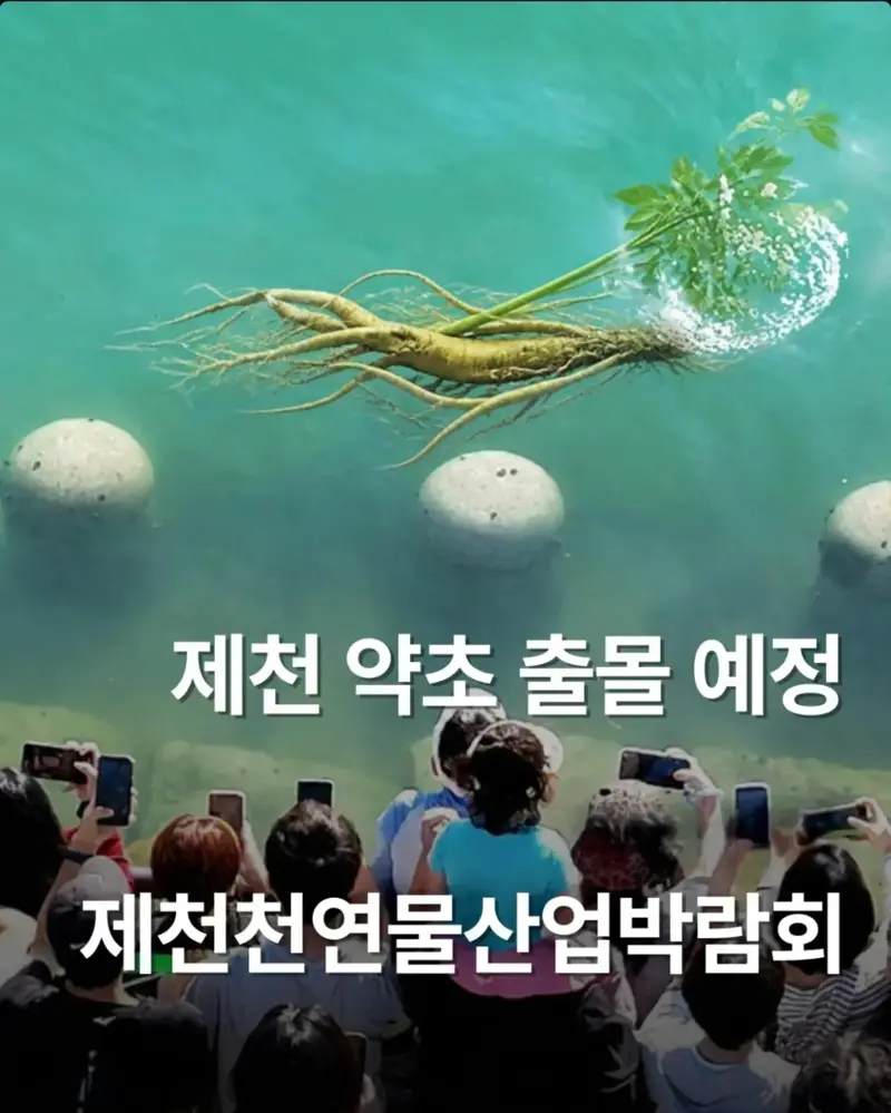 상어가 부러웠던 제천