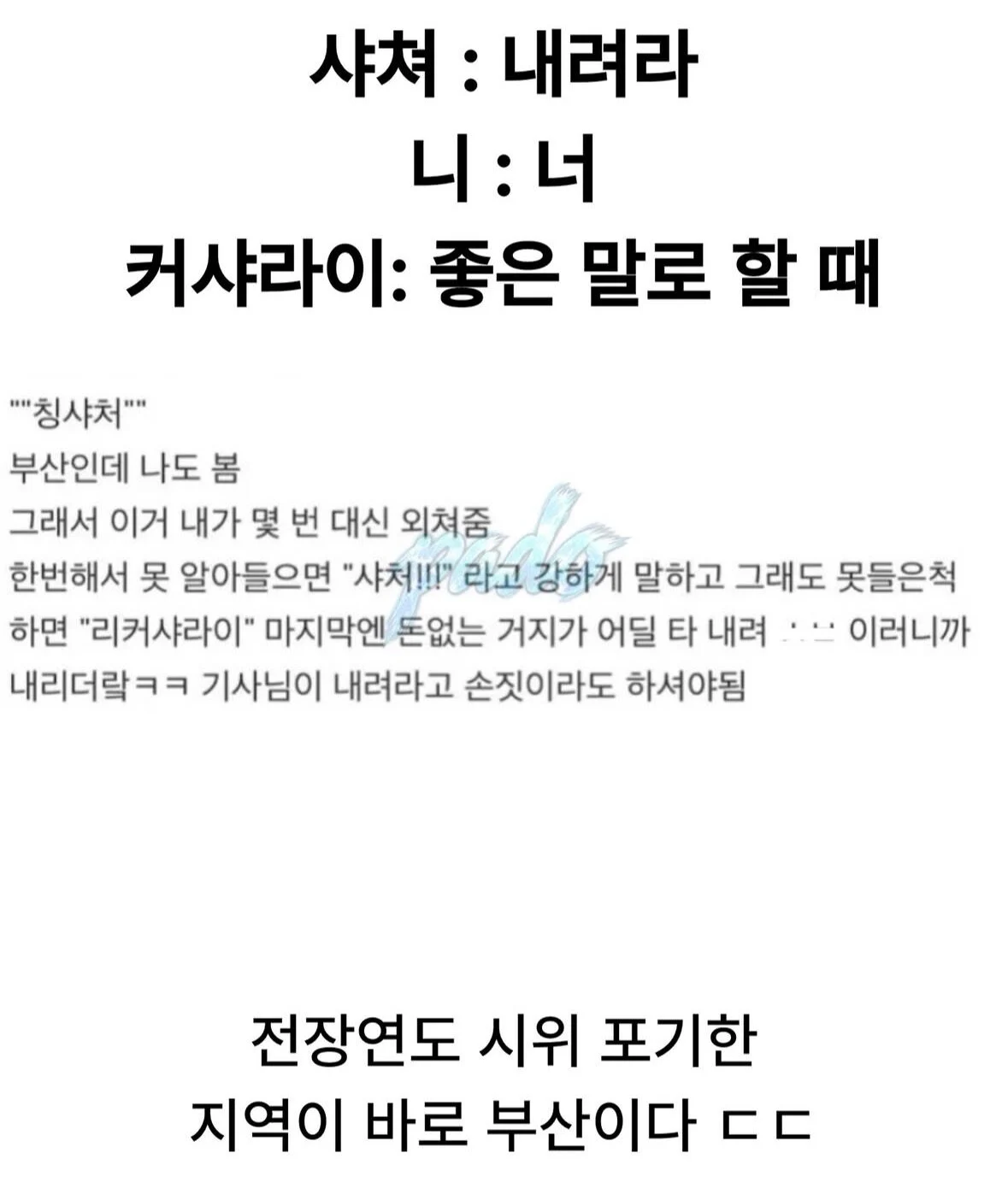 상남자들의 도시 부산 (5)