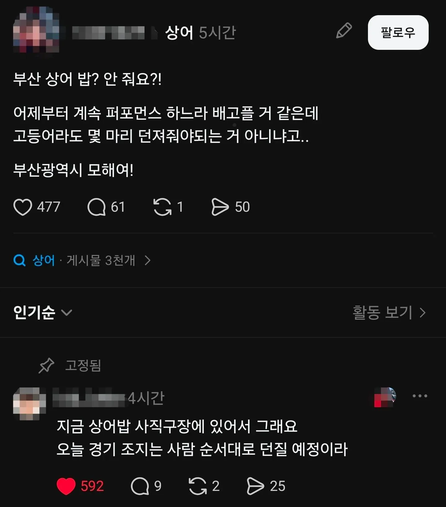 부산 상어 밥? 안 줘요?!