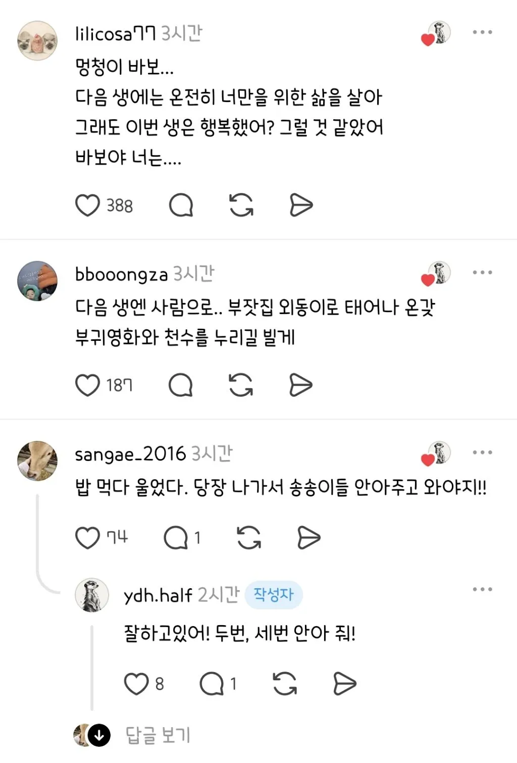 화재현장에서 사람가족들 구하고 무지개다리 건넌 강아지