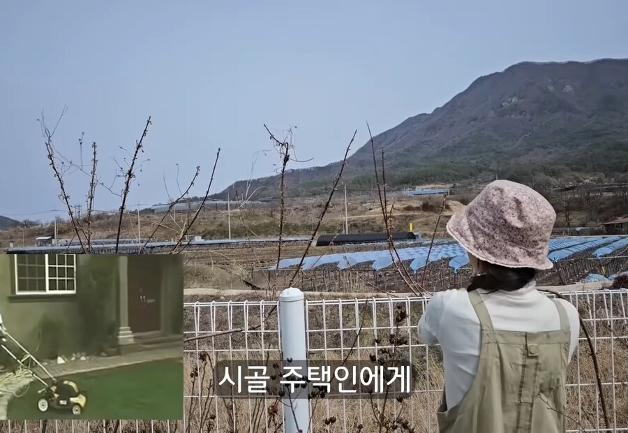 휴식을 위해 '귀촌'을 한 사람들이 깨닫게 되는 현실 (16)