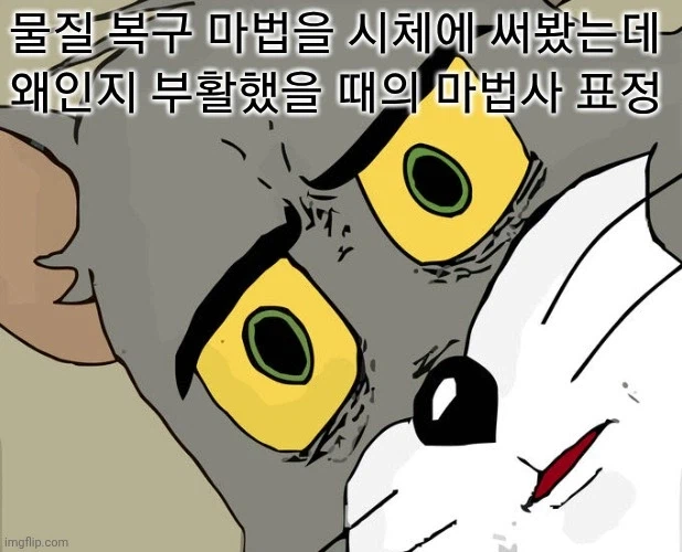 '복구마법을 시체에 사용해 봤다'