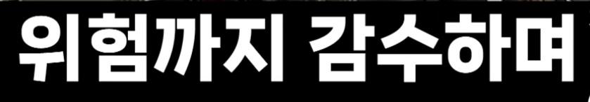 일본 (21)