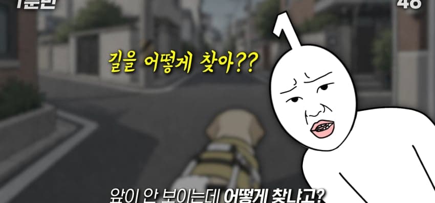 안내견은 목적지를 어떻게 아는 걸까? (8)