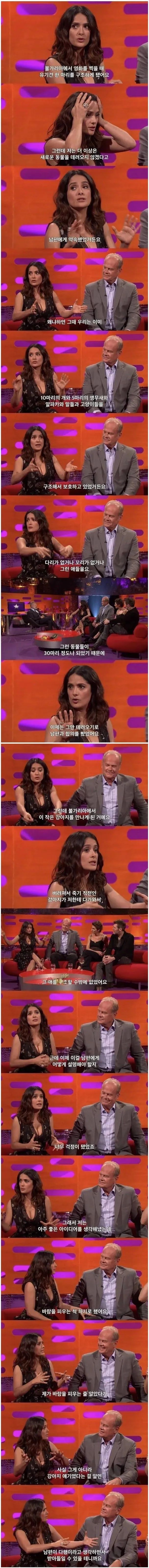 여보 미안해... 너무 외로워서 그랬어... (2)