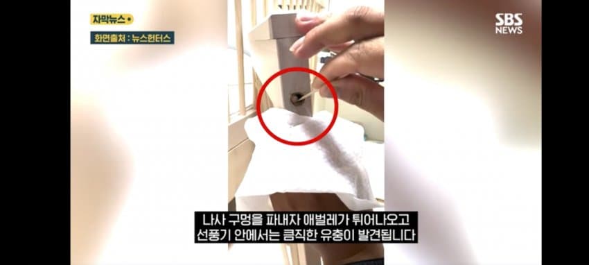 보관이사 맡겼다가 곰팡이, 벌레로 가구 다 망가진 제보자 (2)