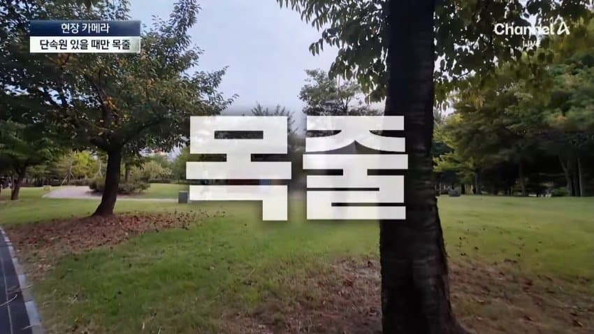채널a) 단속원 퇴근하자...공원이 '개판' (2)