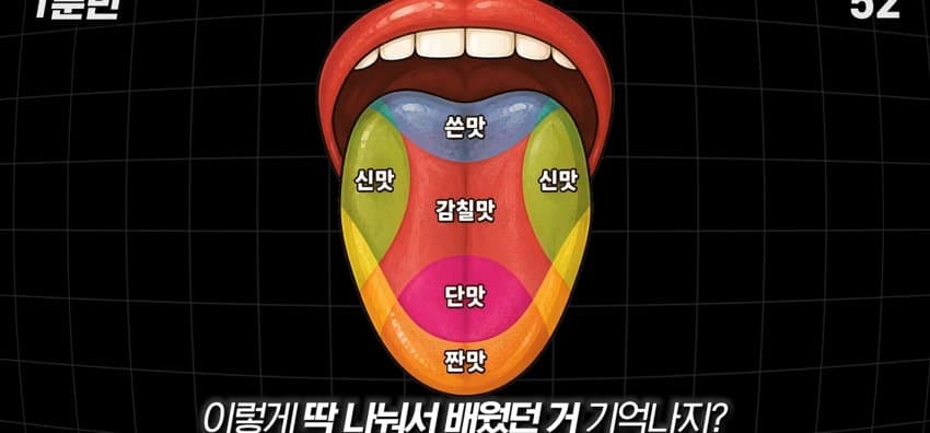 학교에서 배운 '혀 맛' 지도가 잘못됐다..? (5)