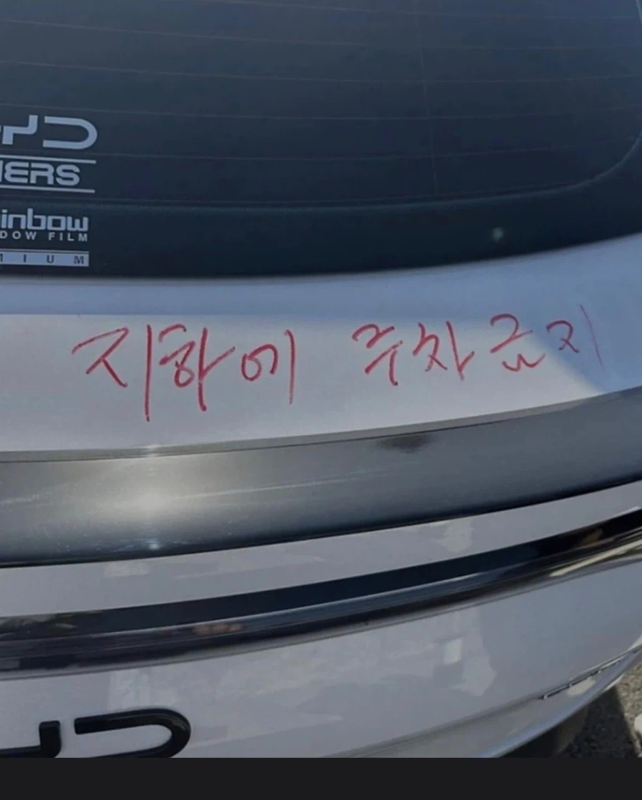 BYD 취급 근황