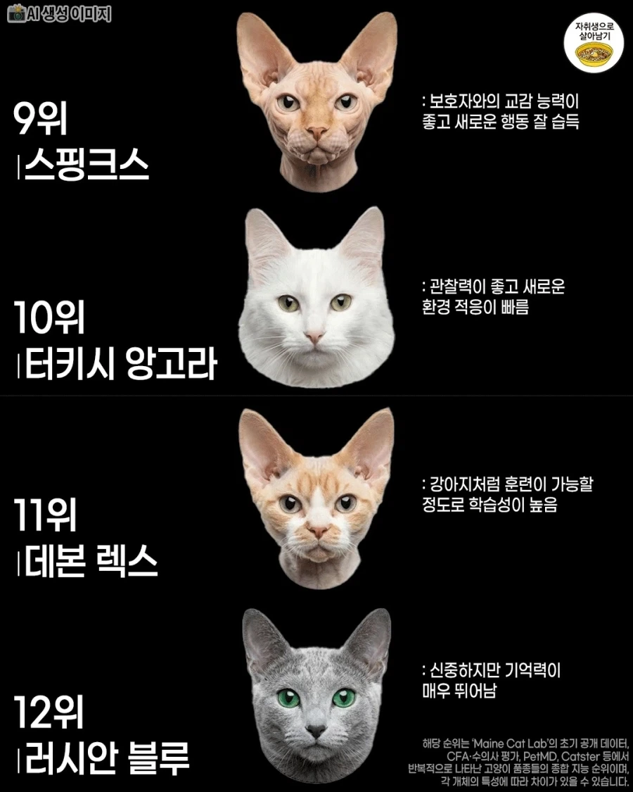 고양이 품종별 지능 순위 .jpg