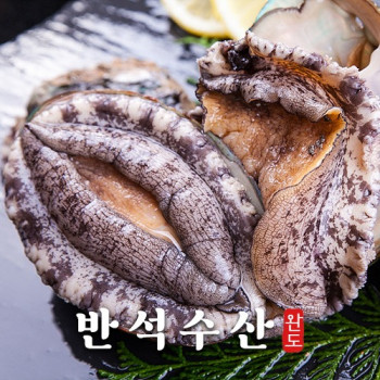 [기타] 특대 활전복 6-7미 (28,600원 / 무료배송)