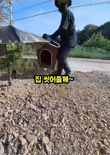 조회수1500만 견주 허락 없이 1개월 아기 강아지 그늘막 설치 사연, (23)