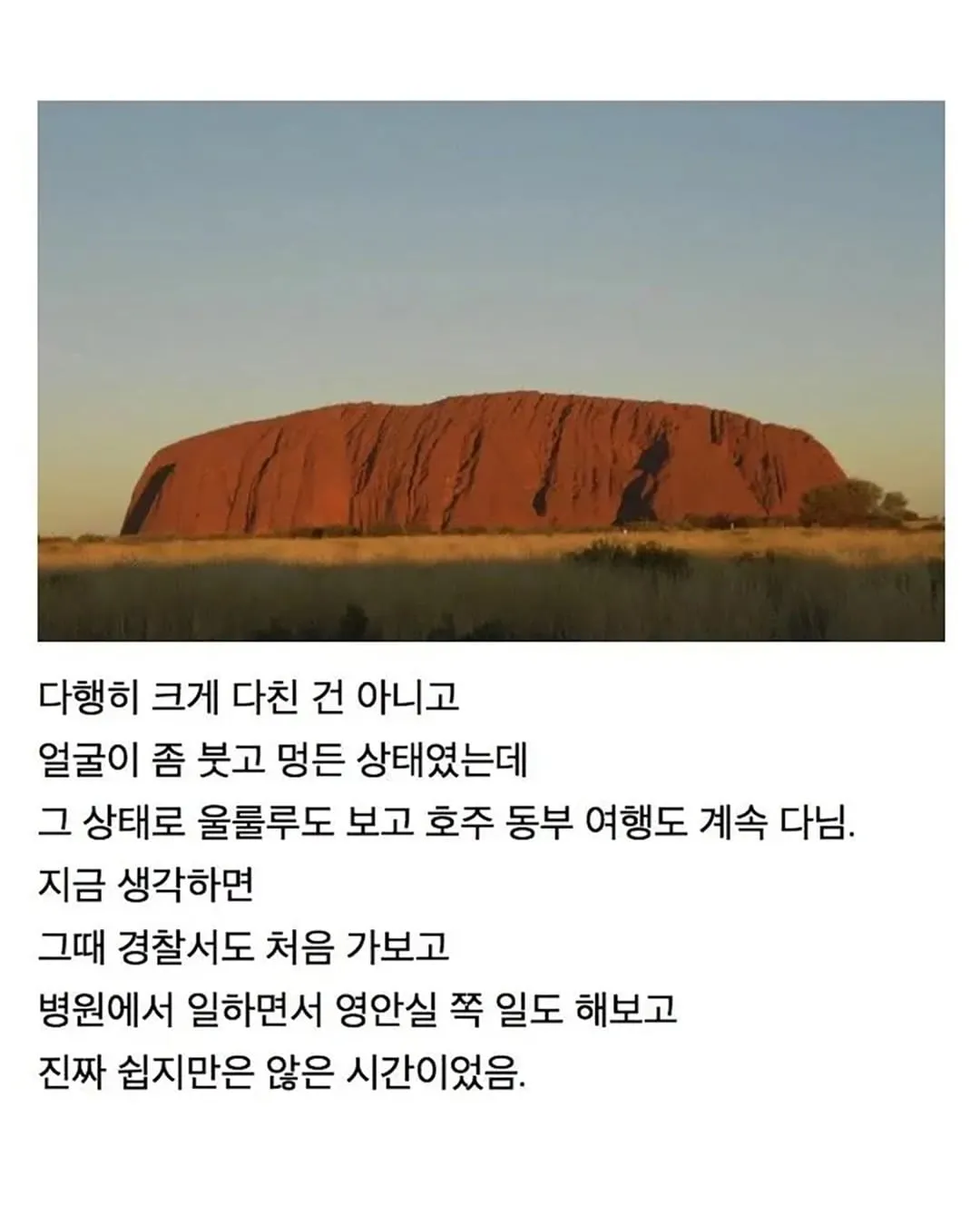 원주민 17명 습격 자소서 본인 등판