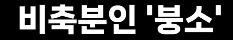 일본 (15)