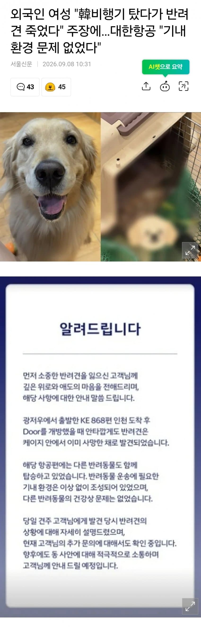 외국인 여성 "韓비행기 탔다가 반려견 죽었다" 주장에…대한항공 "기내환경