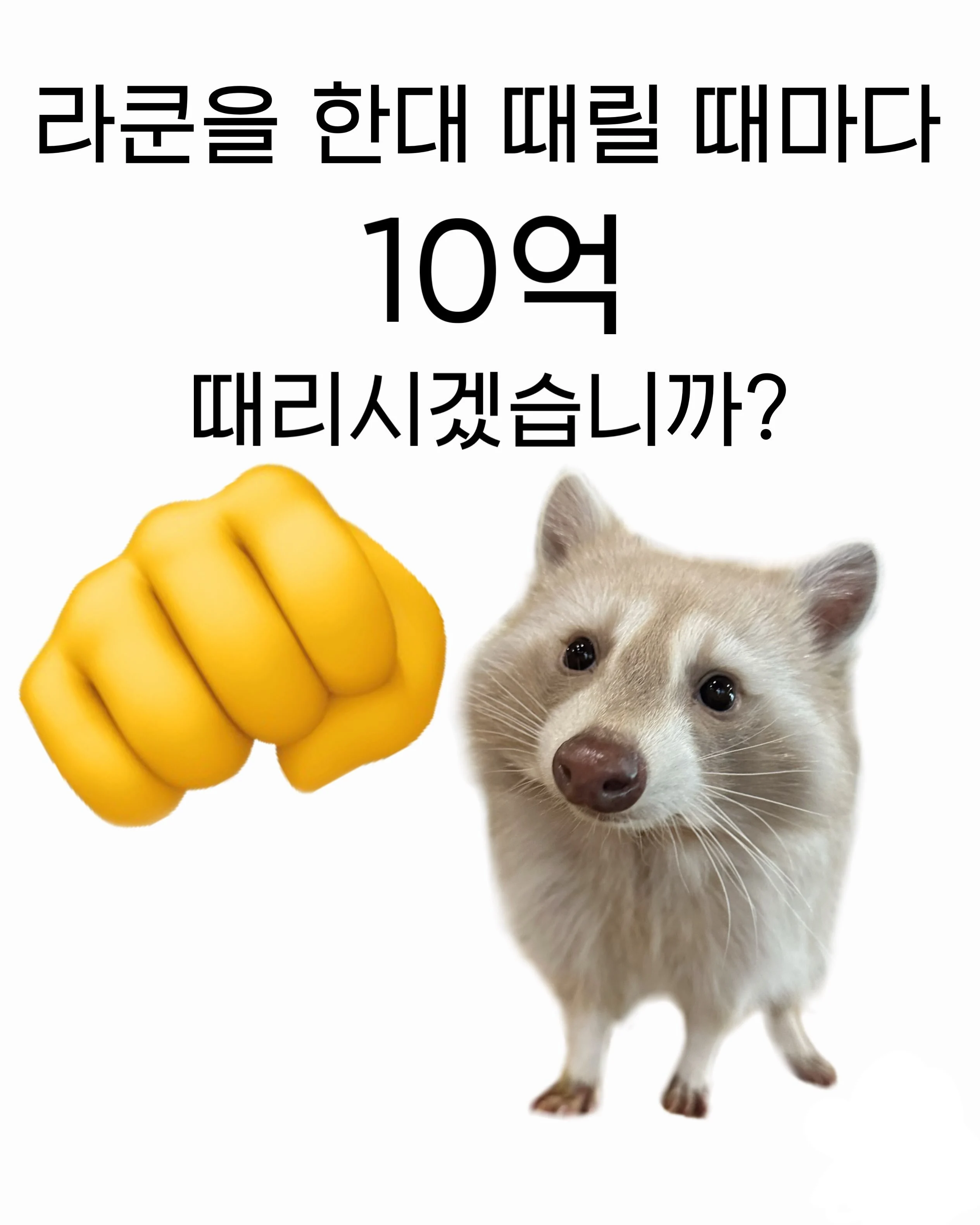 라쿤을 한대 떄릴 때마다 10억