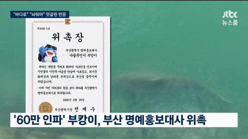 부산 상어.... 부캉이 구조 실패 ㄷㄷ...News (21)