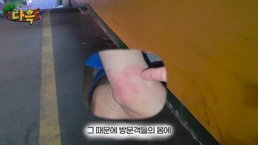 오싹오싹 부산 찜질방에 출몰해서 난리난 빈대(베드버그)상황 (4)