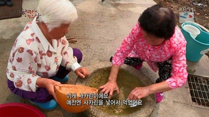 싱글벙글 보릿고개 시절에 먹었다는 잡초풀죽 (13)