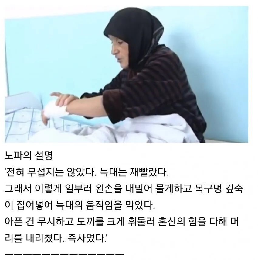 손도끼 하나로 늑대를 상대한 노파 후기
