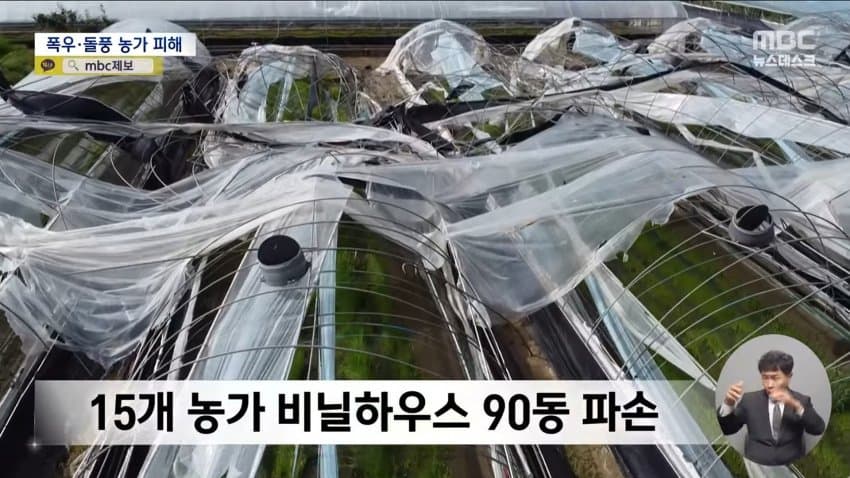 돌풍에 비닐하우스 '폭싹'‥내일 새벽 '집중호우' 2차 피해 우려 (7)