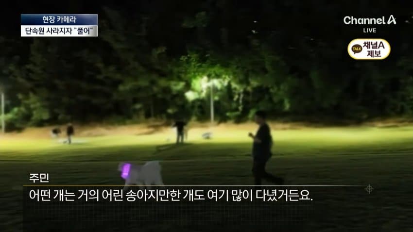 채널a) 단속원 퇴근하자...공원이 '개판' (24)