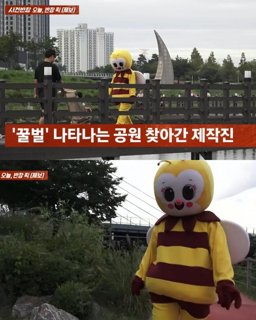 꿀벌 옷 입는 이유 (4)